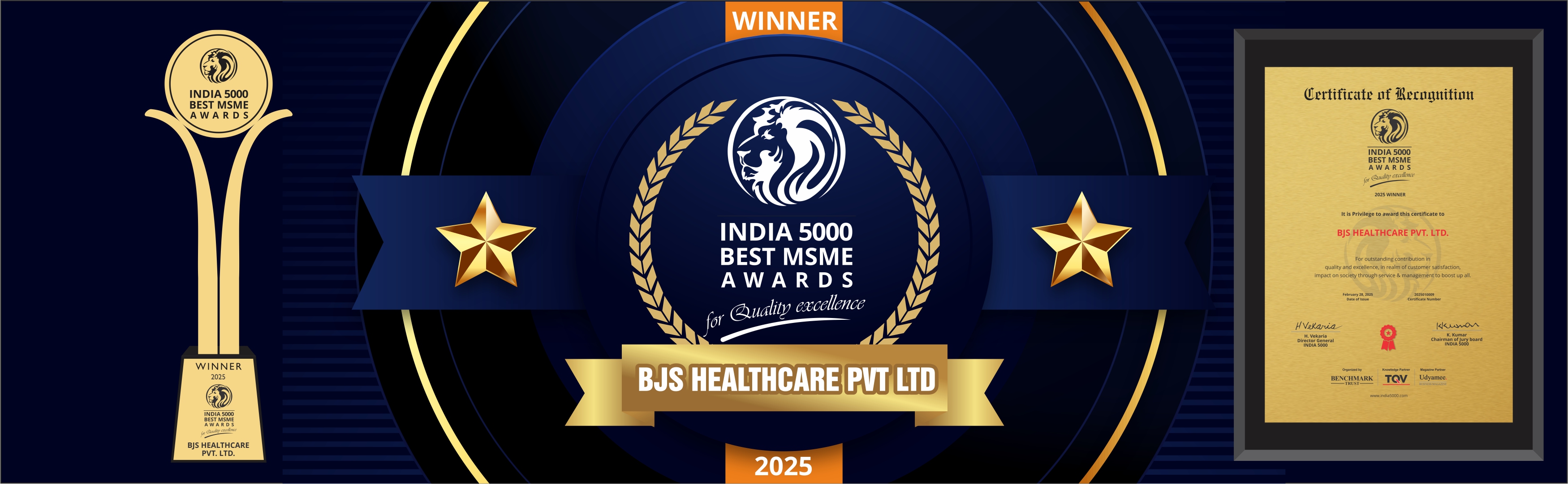 BJS Healthcare Award 2025